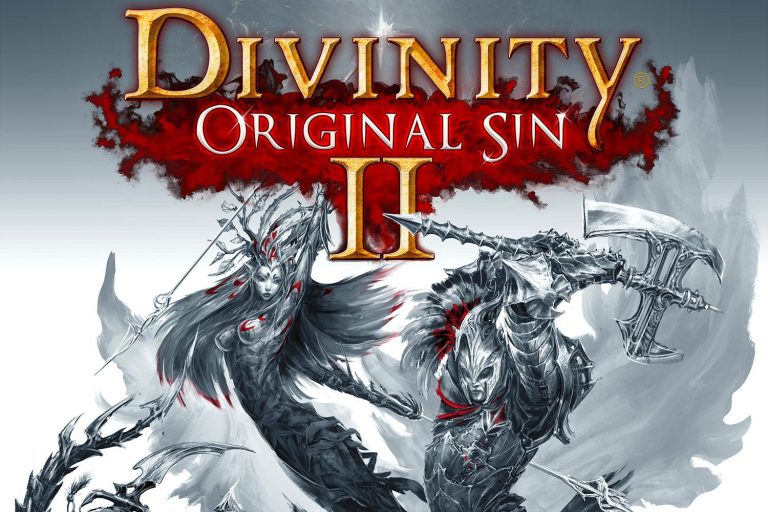 Divinity: Original Sin 2 Cover Art