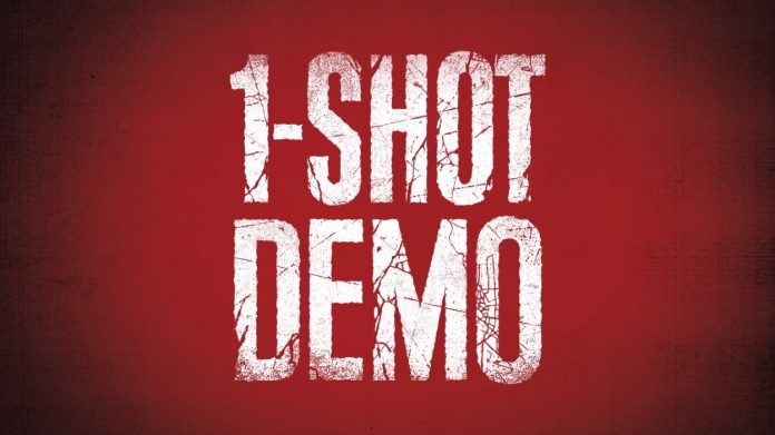 1-Shot-Demo